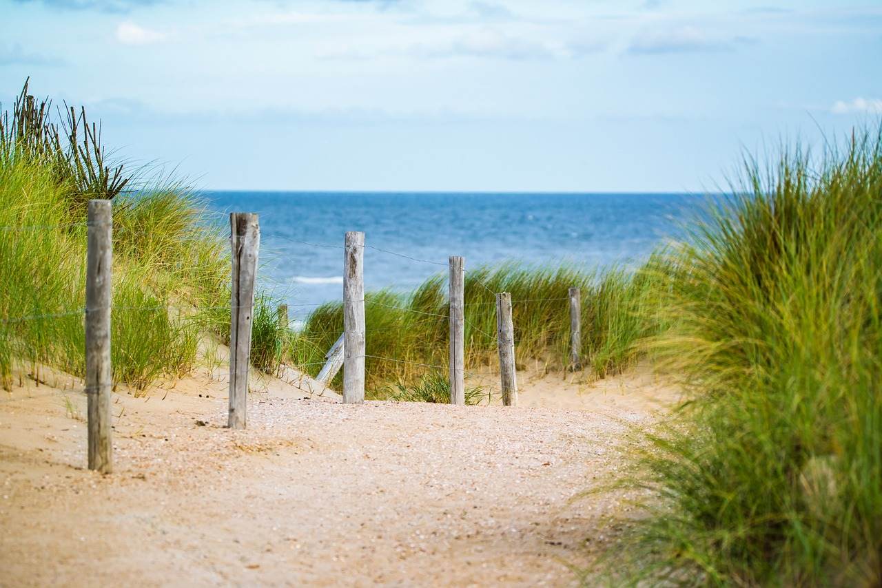 Path through beach dunes leading toward the ocean